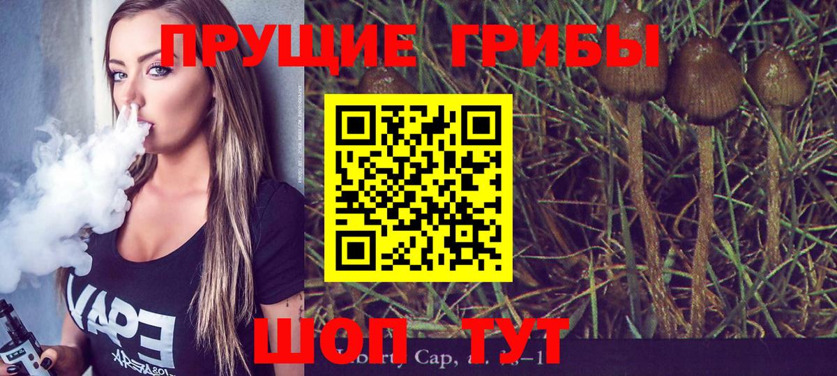 Псилоцибиновые грибы MAGIC MUSHROOMS  Вход с VPN  Выборг 